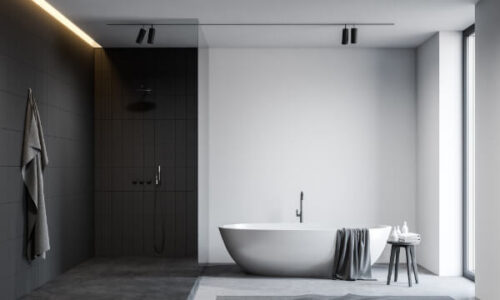 Modern Bathroom Design Ideas by Nicole Hollis